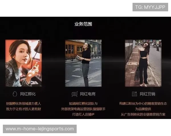 垂直细分领域的IP价值在本阶段得到释放 满足了小众圈层的精准营销